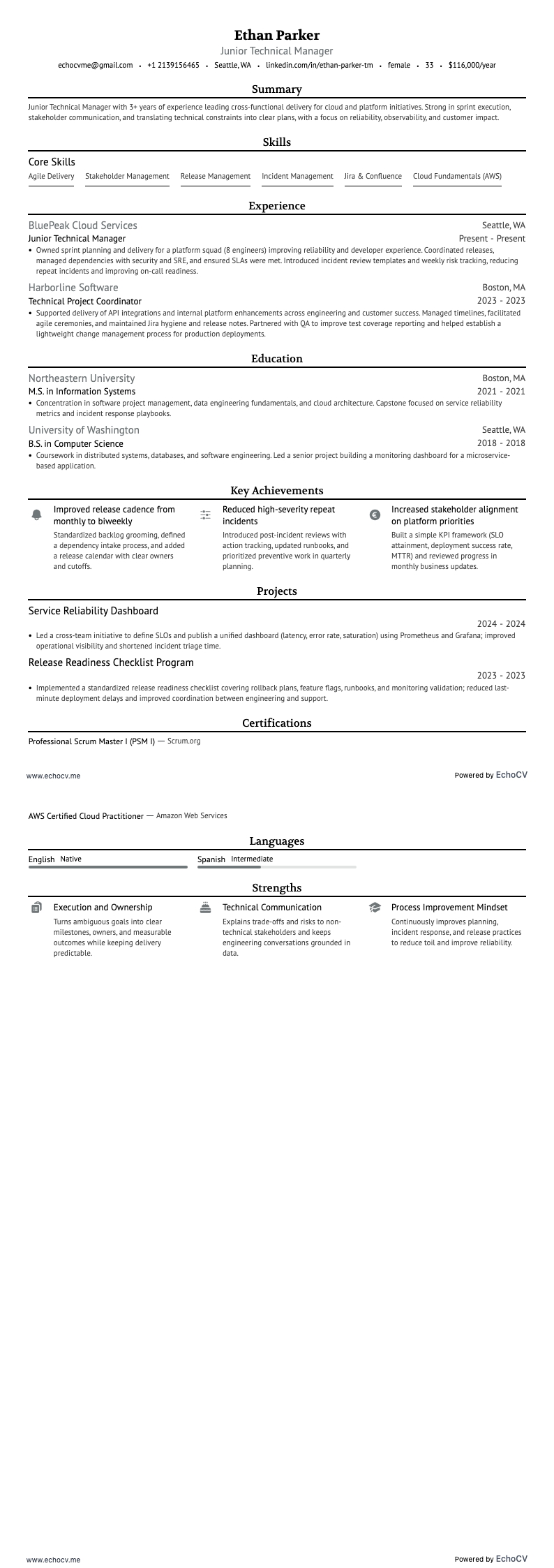 Junior technisch manager example resume