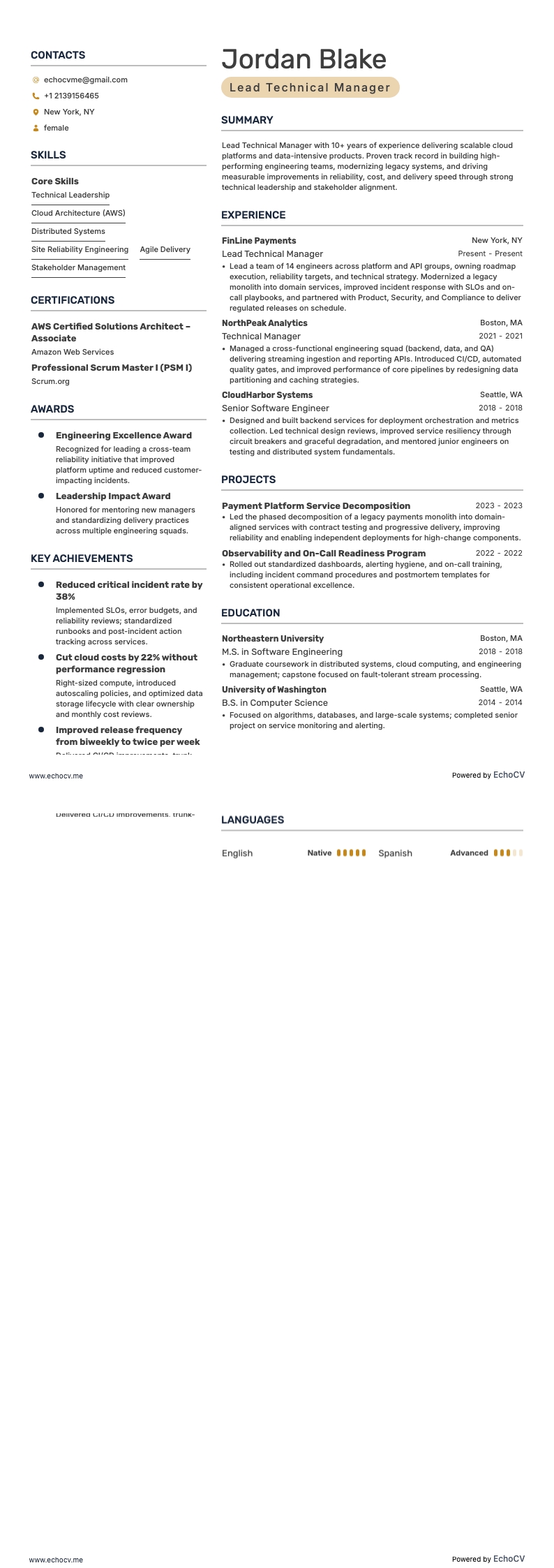 Technisch manager resume example