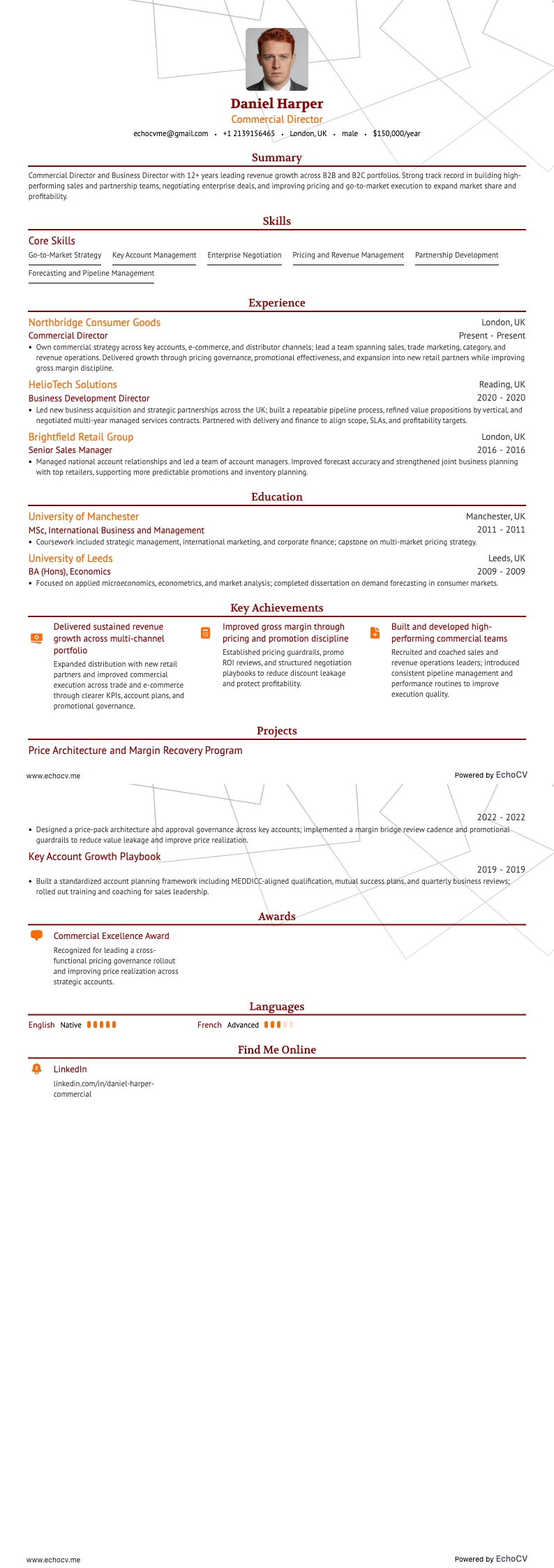 Directeur commercial example resume