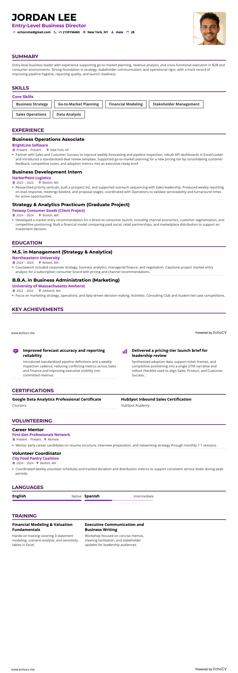 ビジネスディレクター resume example