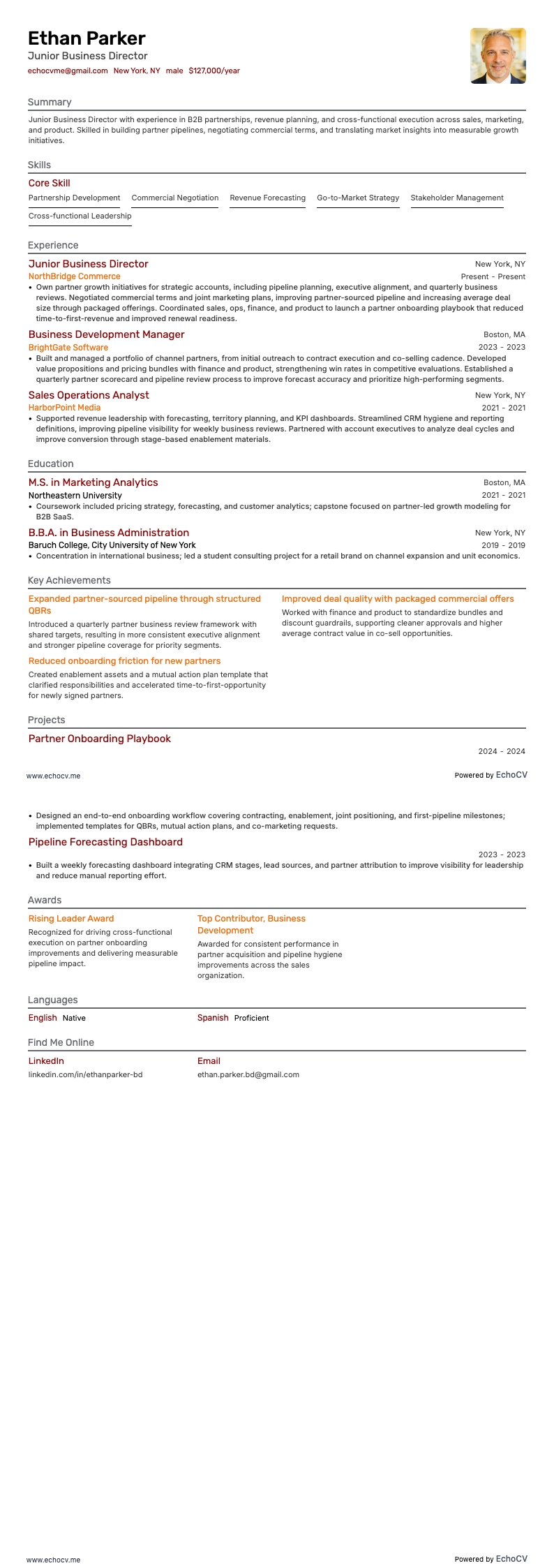 Directeur commercial junior example resume