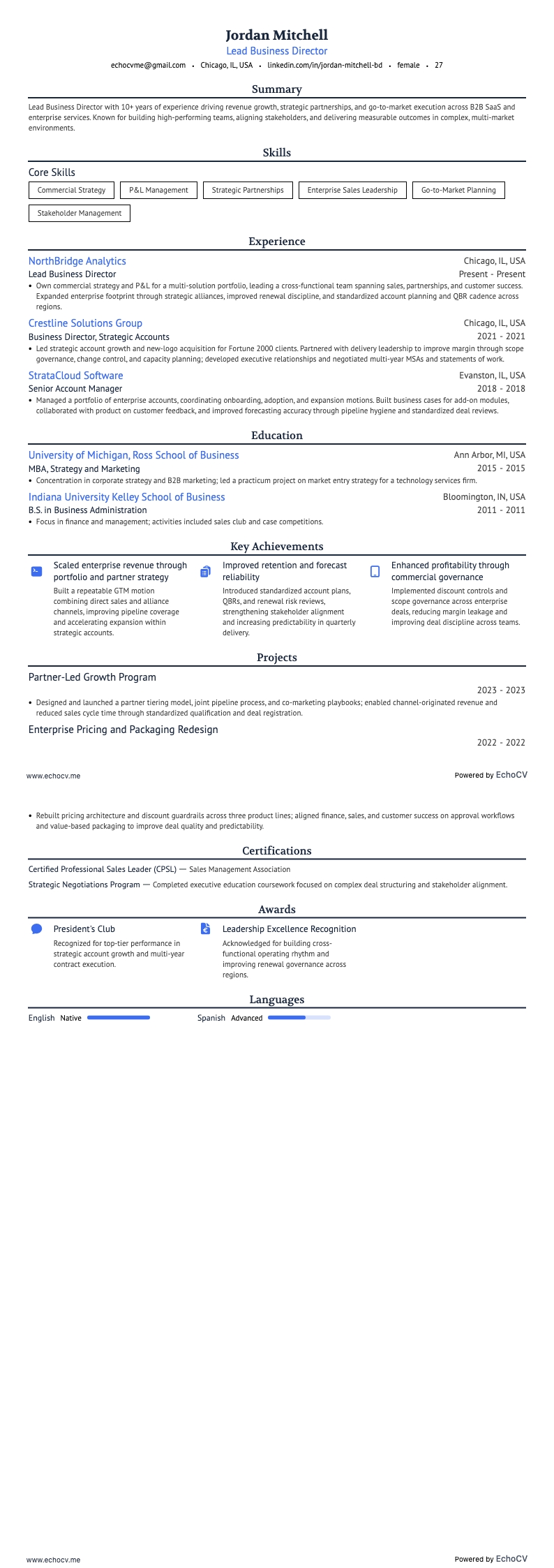 Directeur commercial resume example