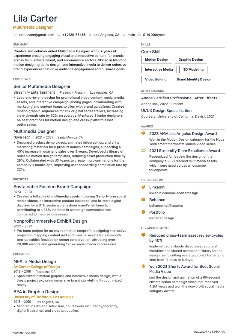 Multimedia Designer example resume