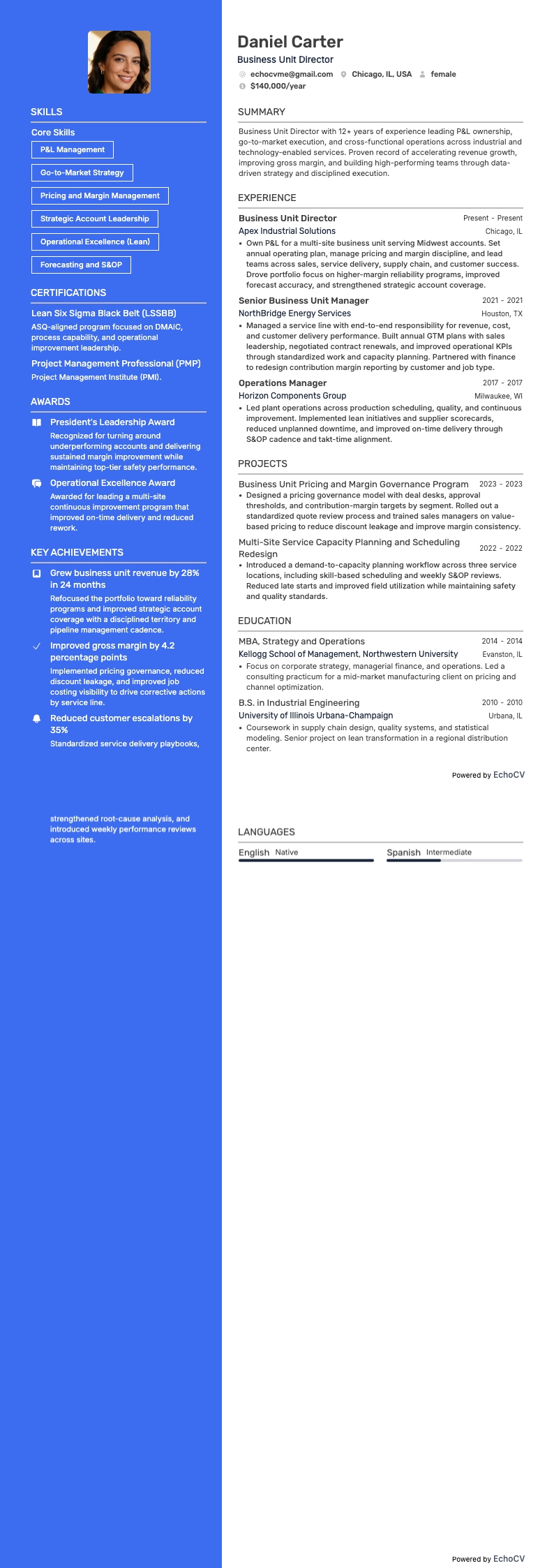 Diretor de unidade de negócios resume example