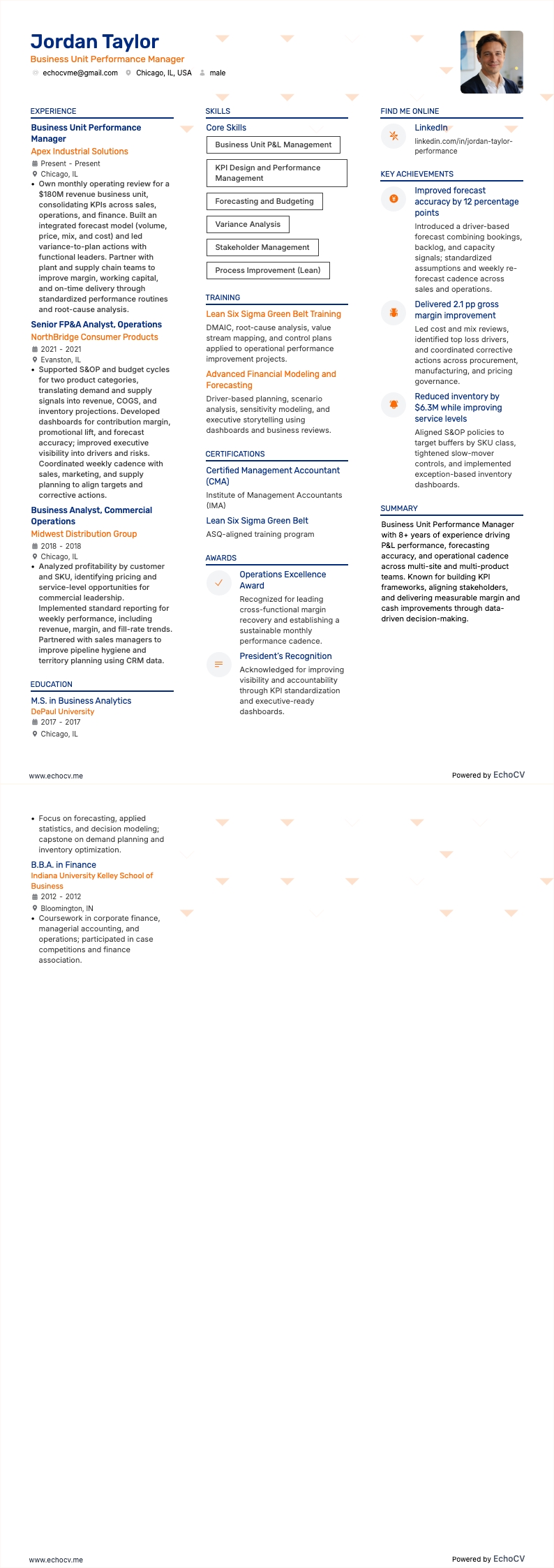 Gerente de Desempenho da Unidade de Negócio example resume