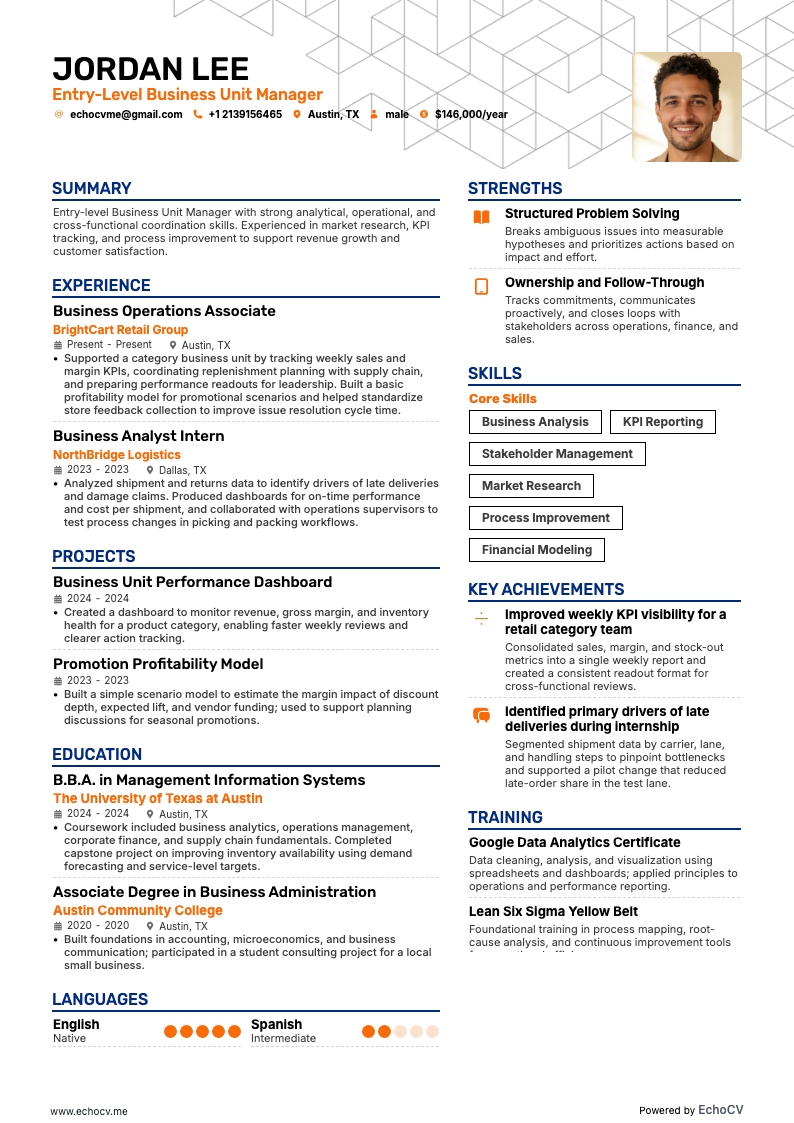 Gerente de Unidade de Negócios Júnior example resume
