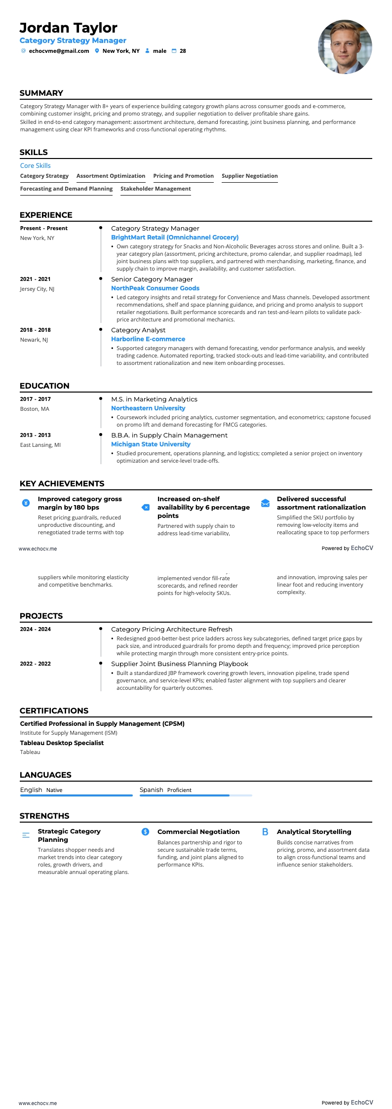 品类战略经理 example resume