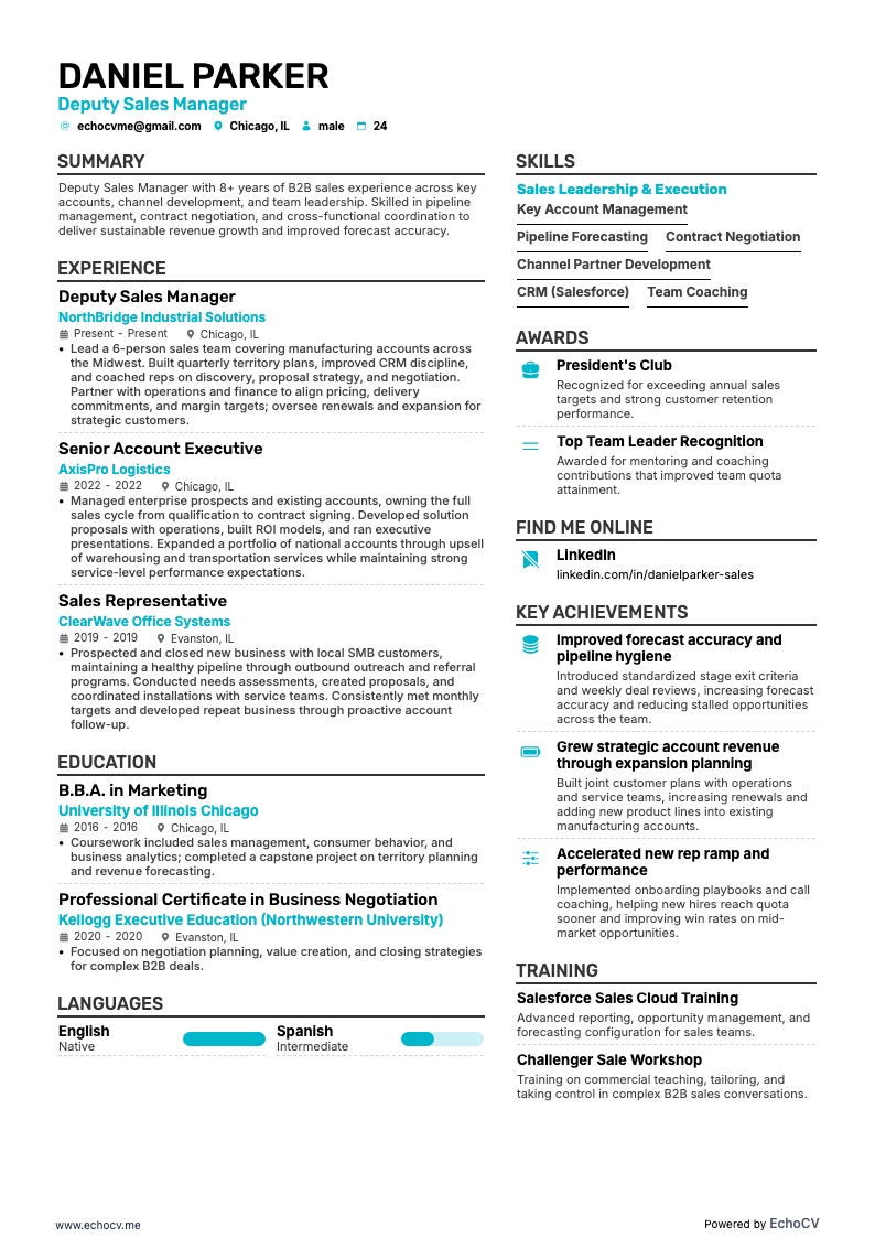Deputy Sales Manager example resume