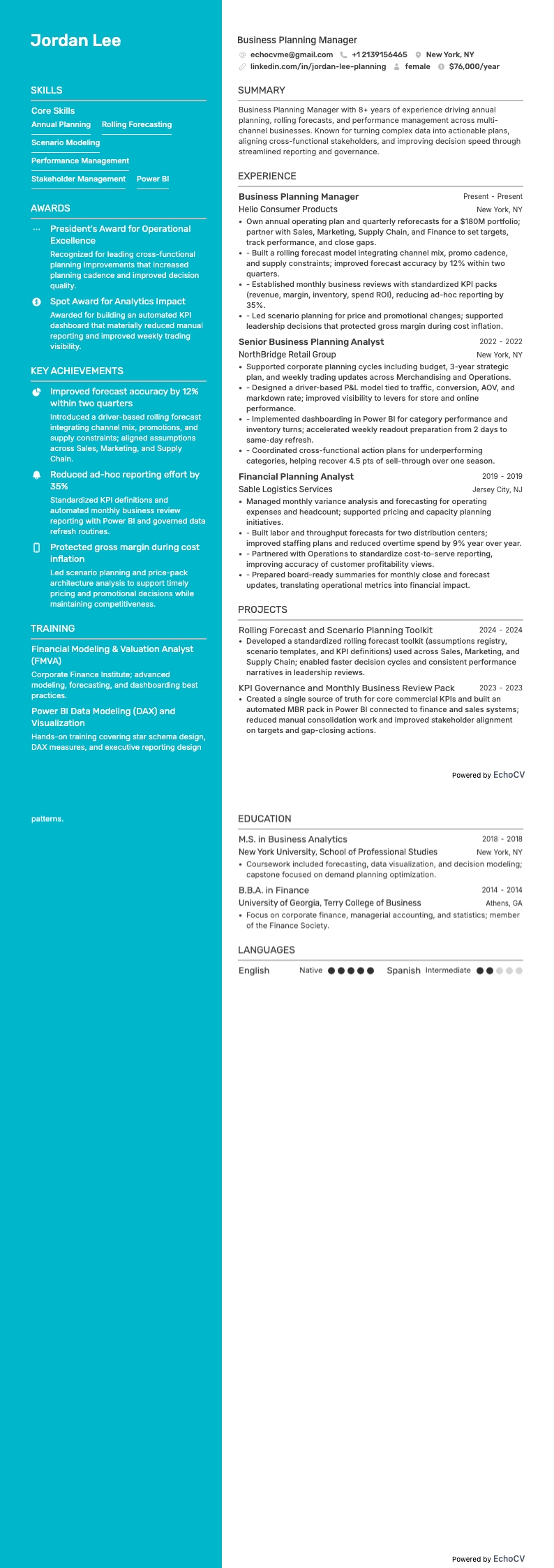 业务规划经理 example resume