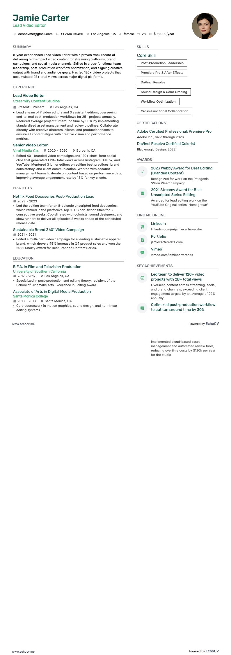 Lead Video Editor example resume