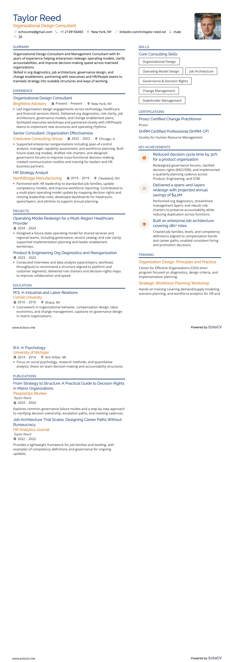 Consultor de design organizacional example resume