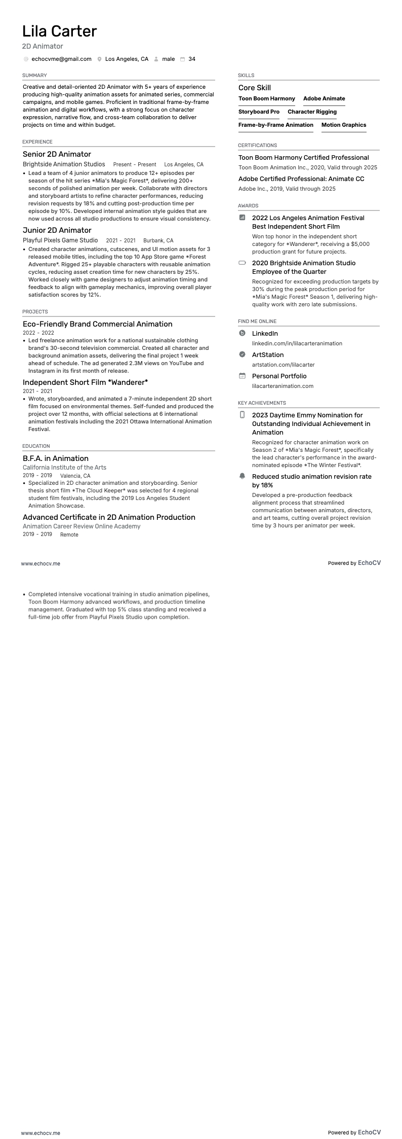 2D Animator example resume