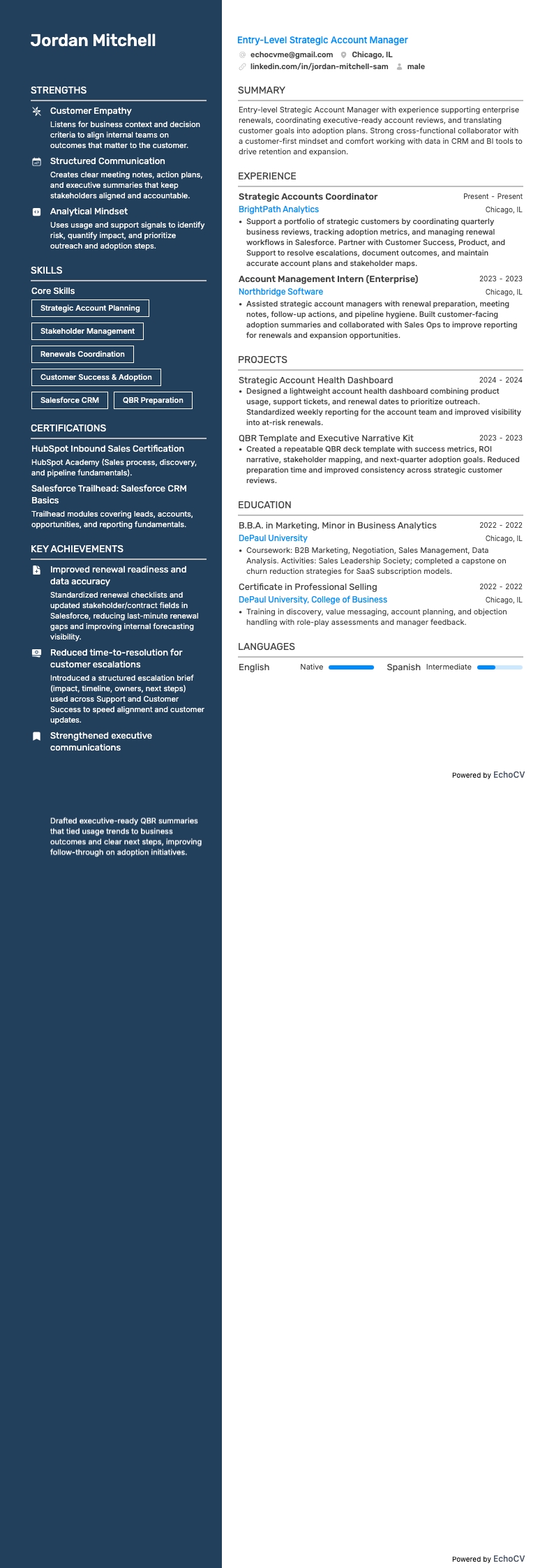 Gerente de Contas Estratégicas Júnior example resume