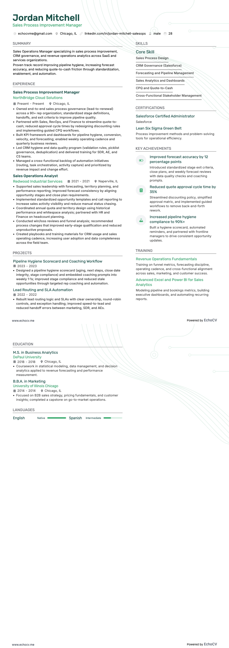 영업 프로세스 개선 매니저