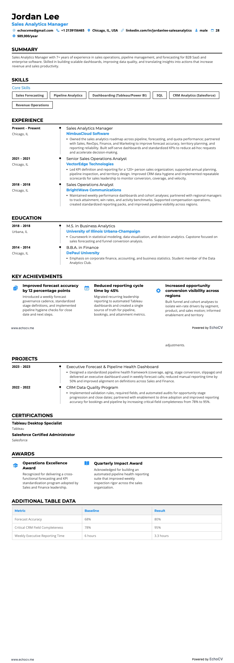 Sales Analytics Manager example resume