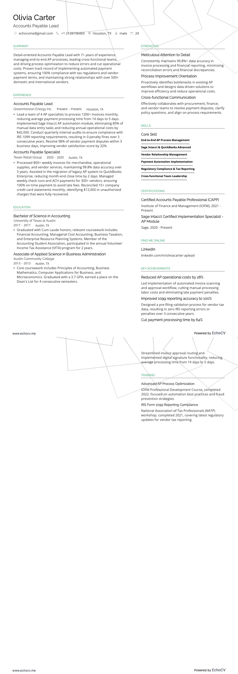 Líder de contas a pagar example resume