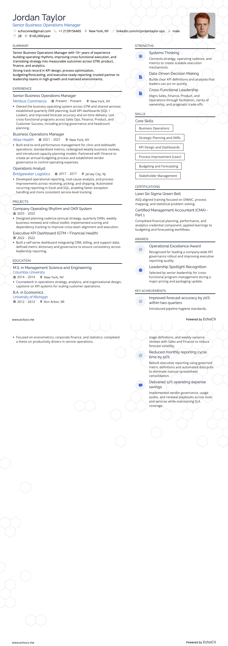業務營運經理 resume example
