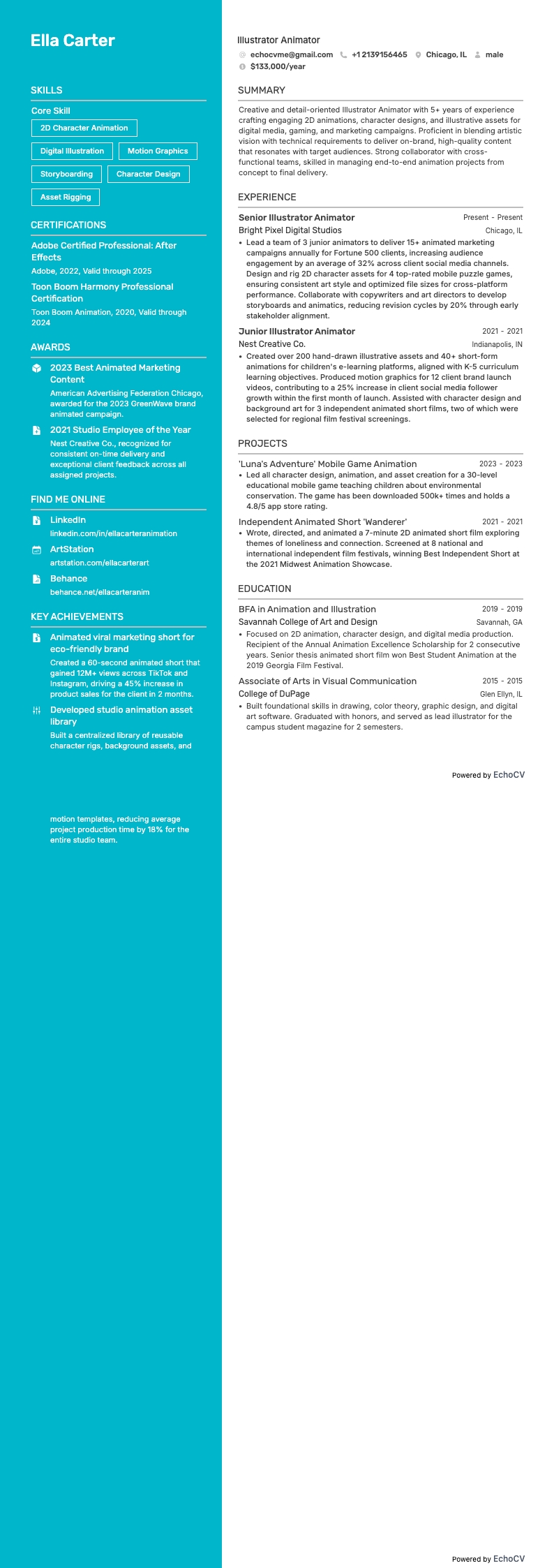 Illustrator Animator example resume