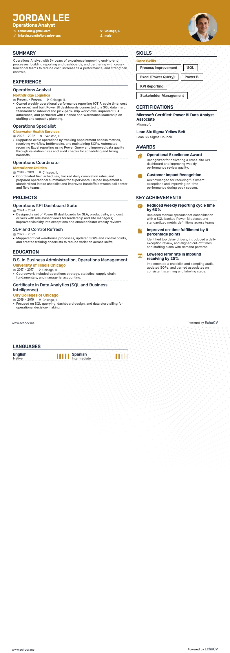 Operations Analyst example resume