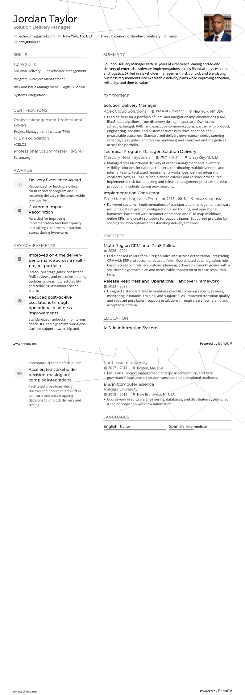 Solution Delivery Manager example resume