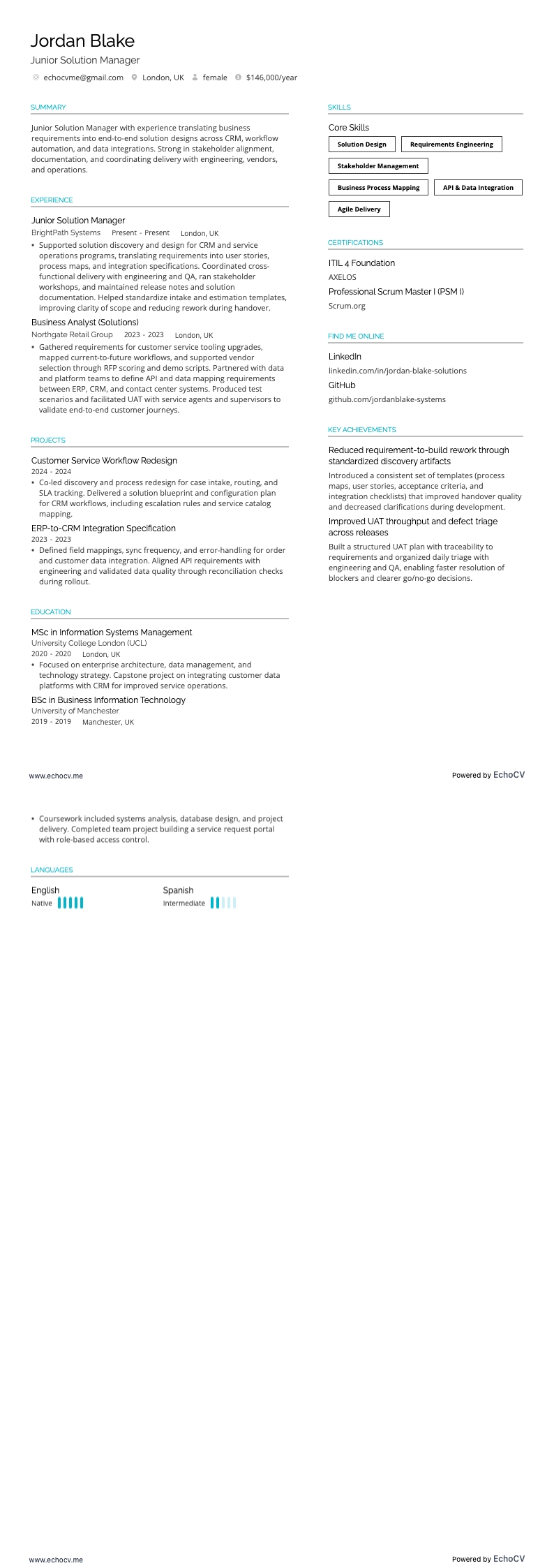 Junior Solution Manager example resume