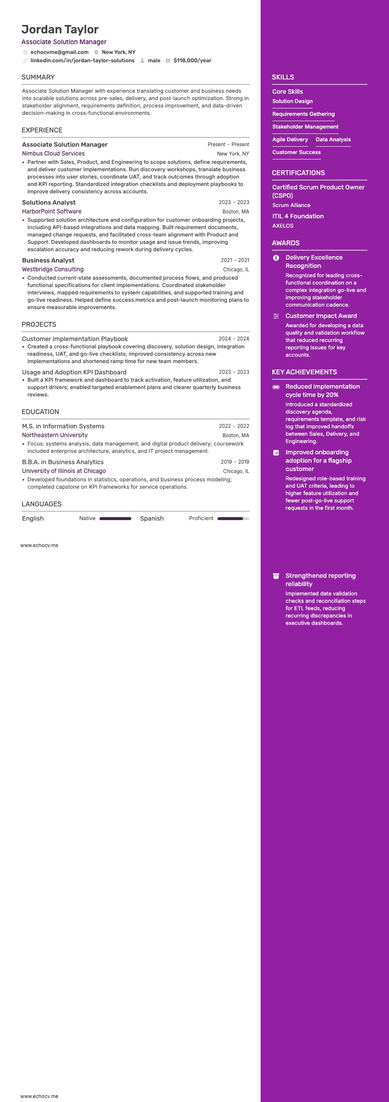 Associate Solution Manager example resume