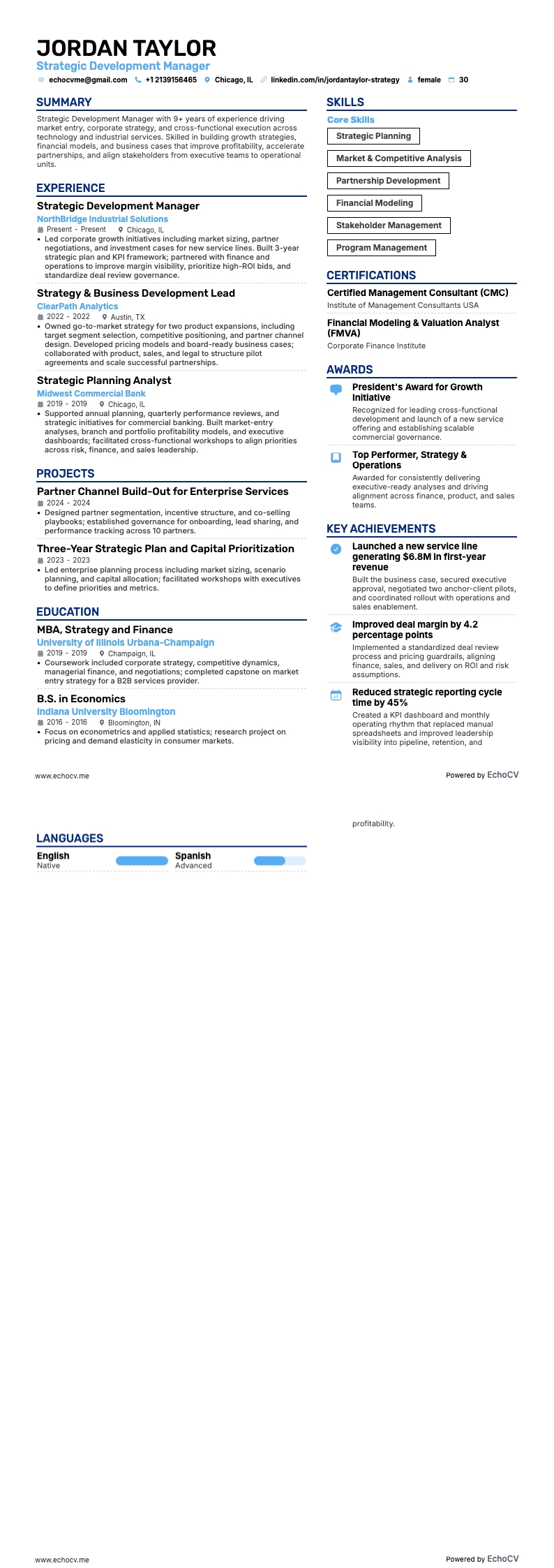 Strategic Development Manager example resume