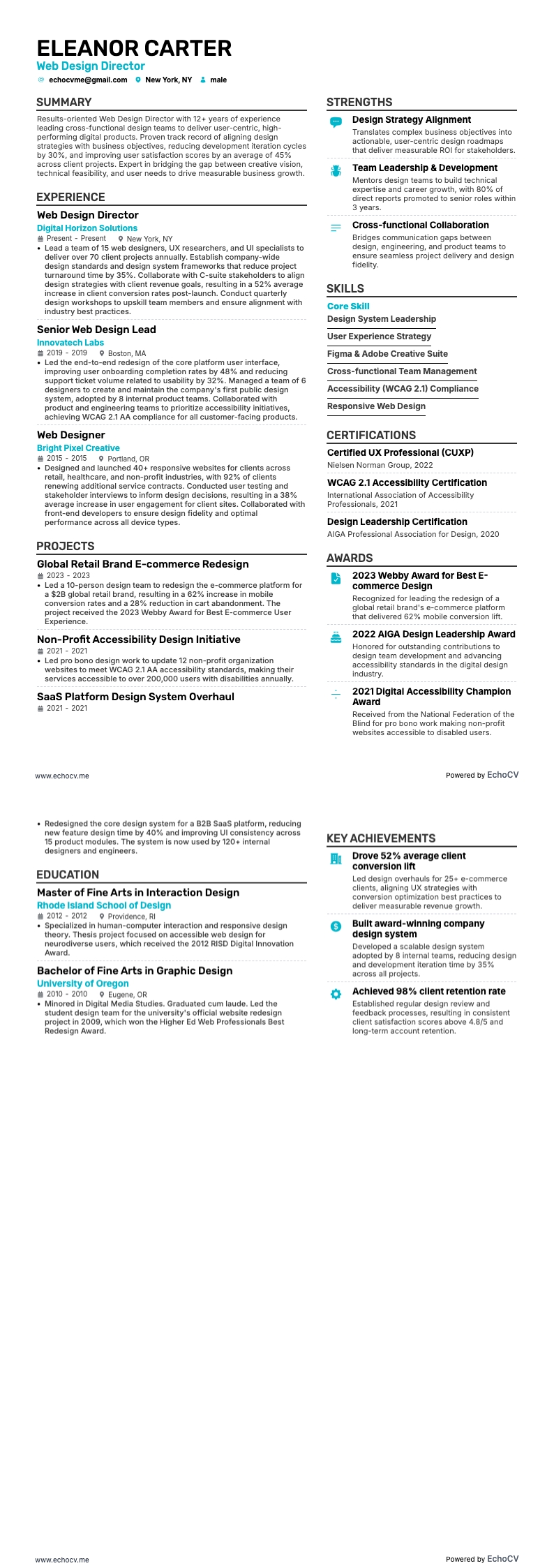 Diseñador web resume example