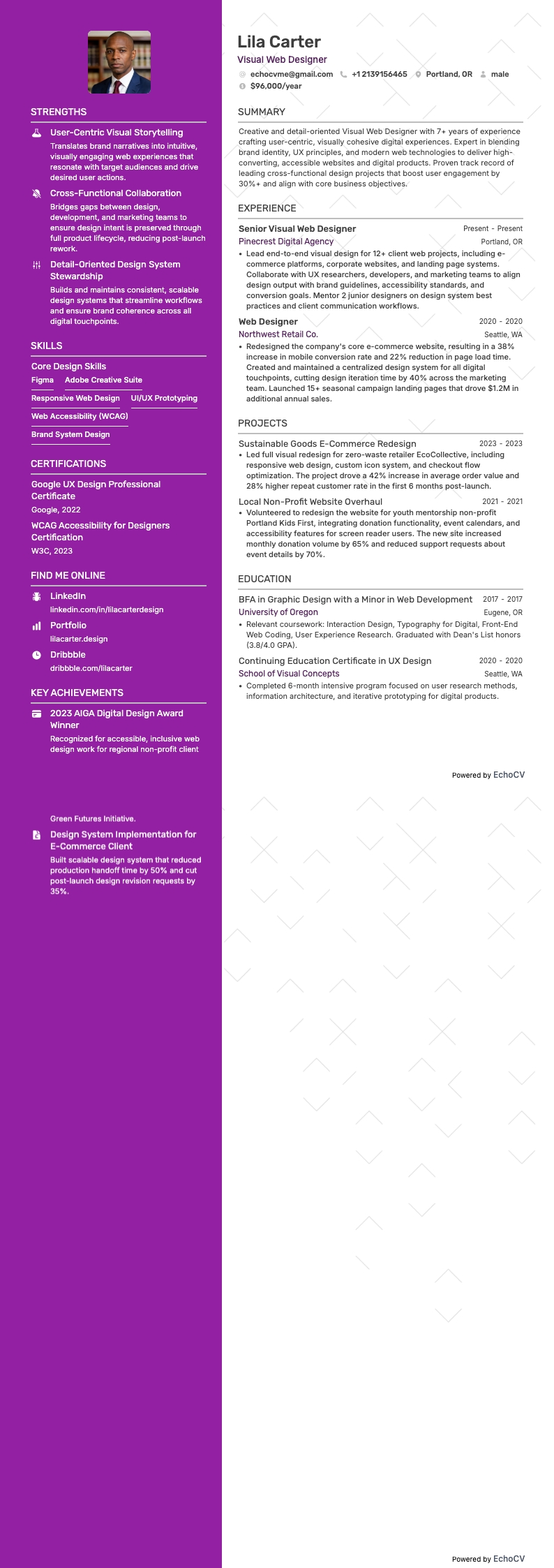 Diseñador web visual example resume