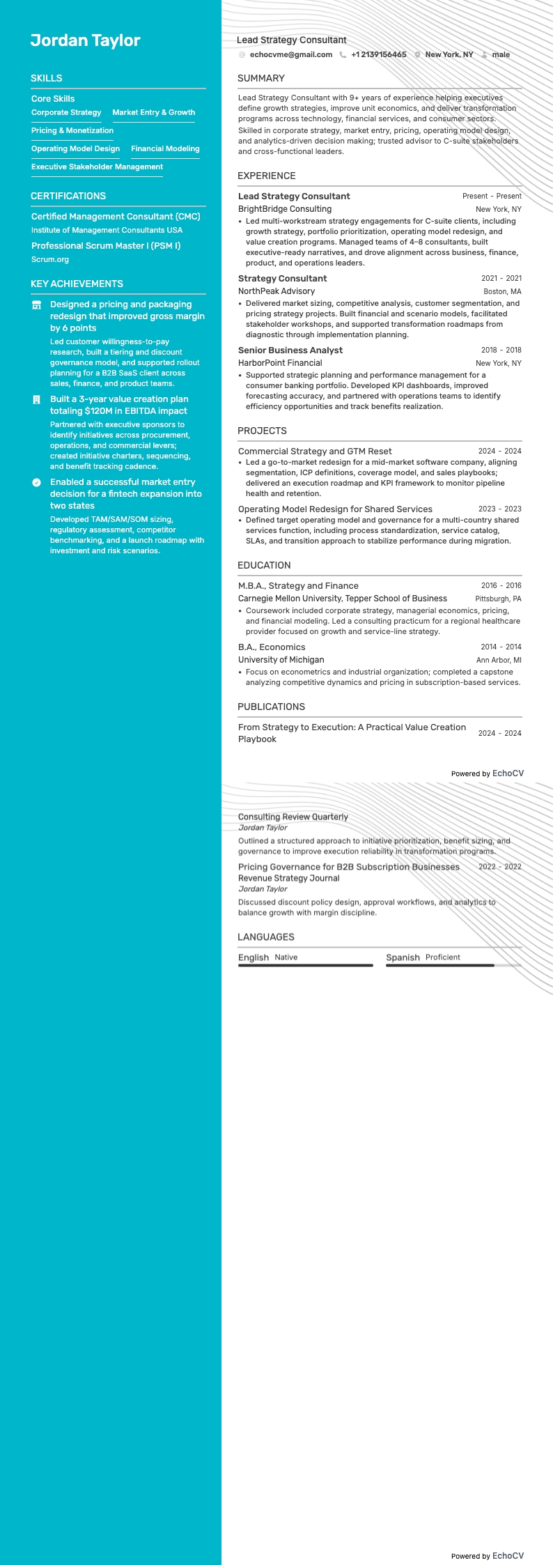 수석 전략 컨설턴트 전체 미리보기