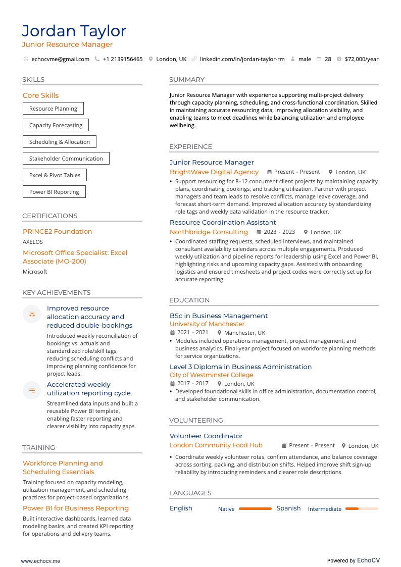 Responsabile junior delle risorse example resume