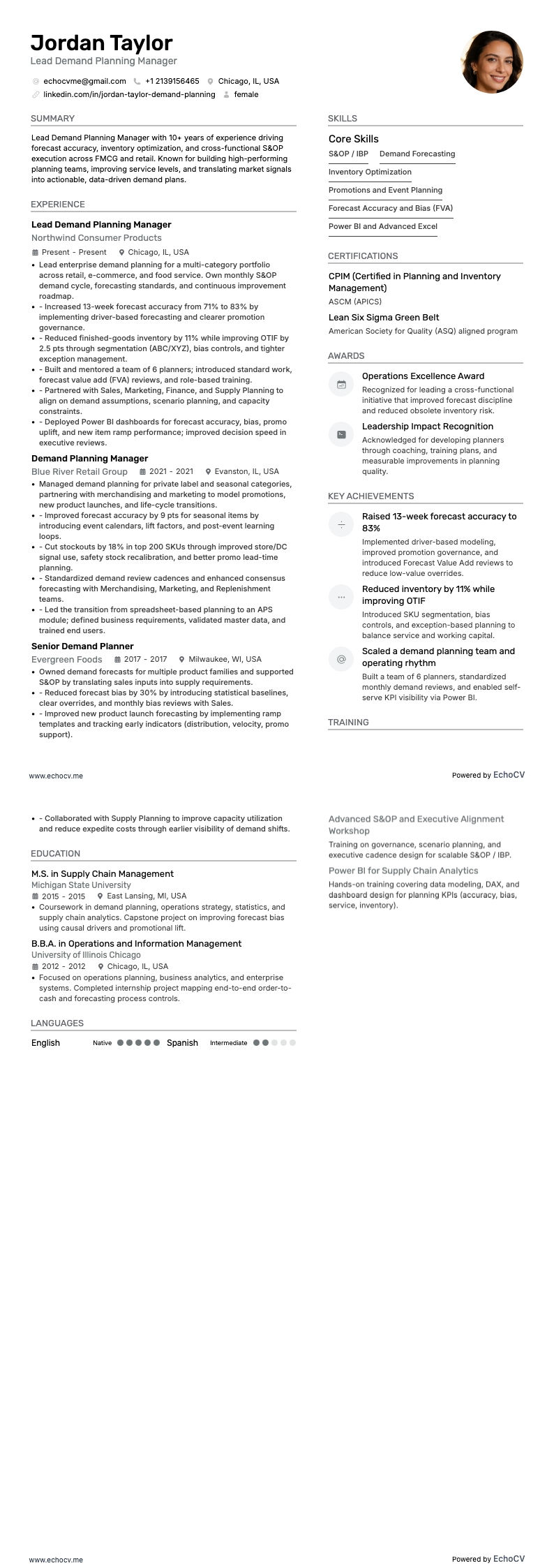 Lead Demand Planning Manager full preview