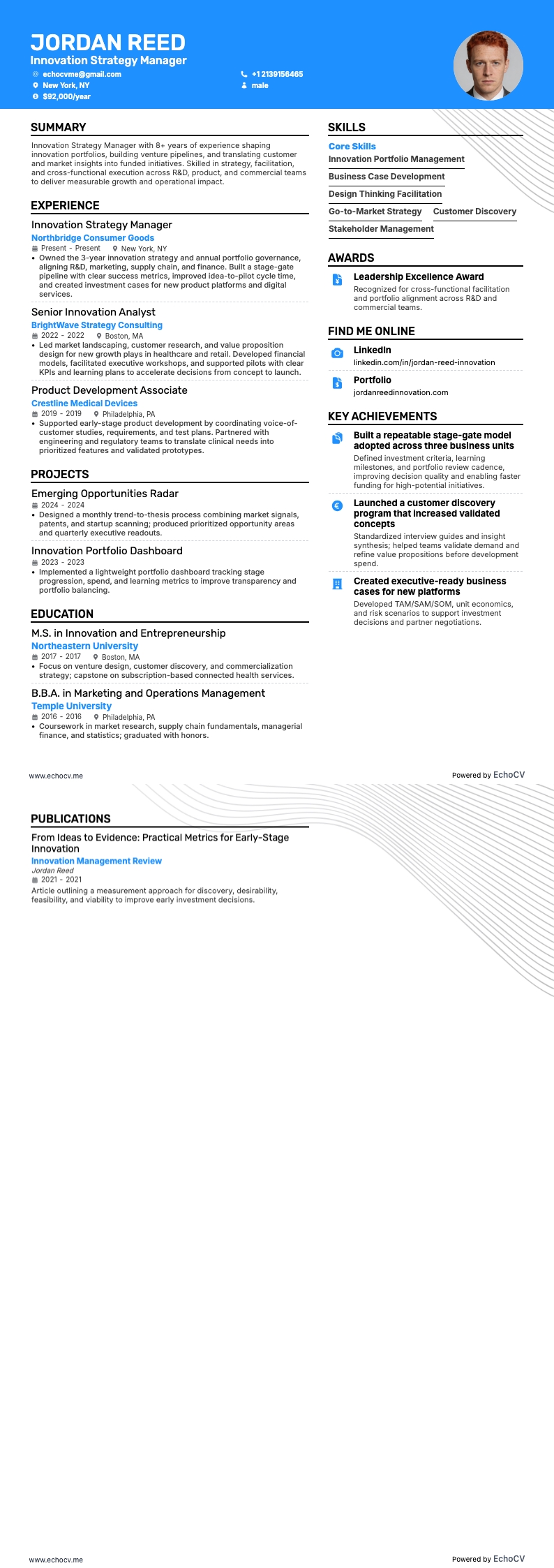 Responsable de la stratégie d'innovation example resume