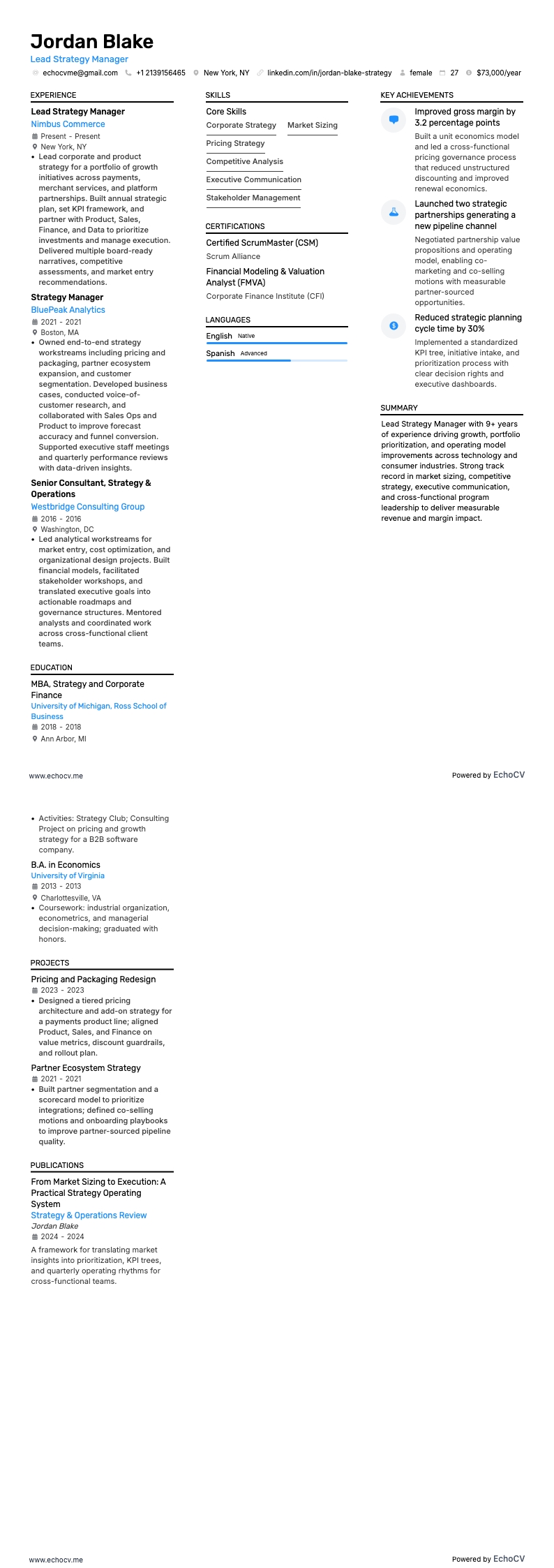 Lead Strategy Manager example resume