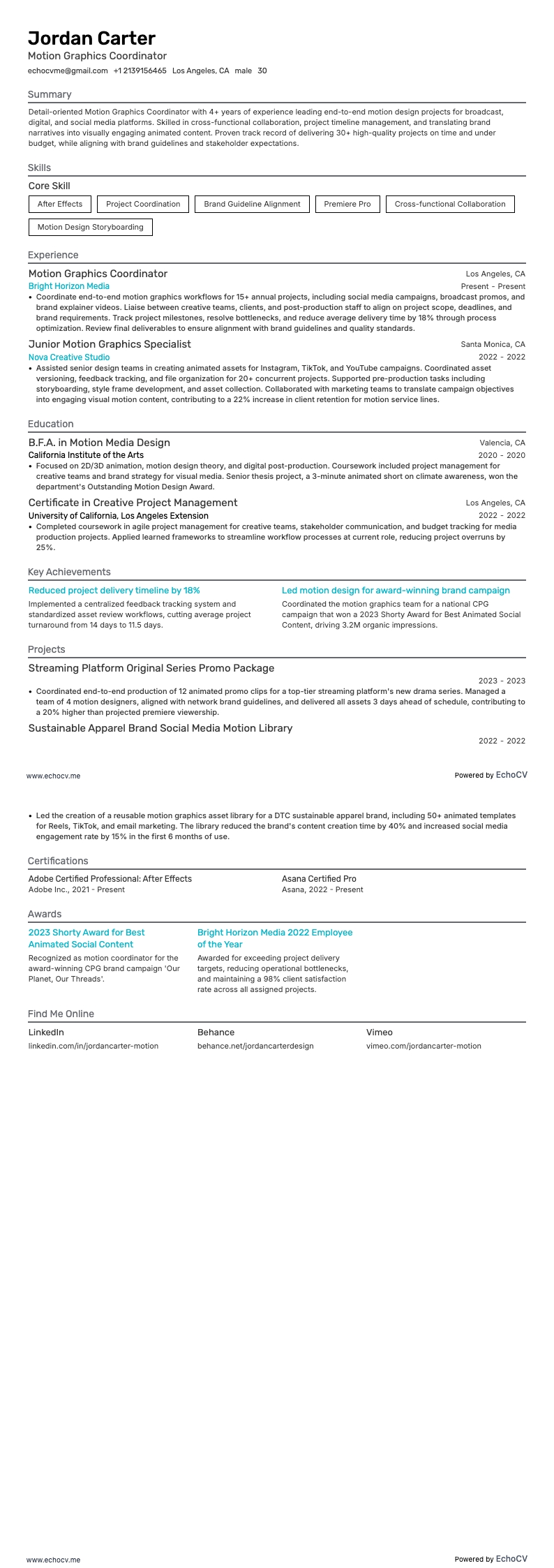 动态图形协调员 example resume