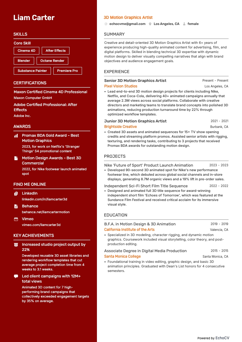 3D动态图形设计师 example resume