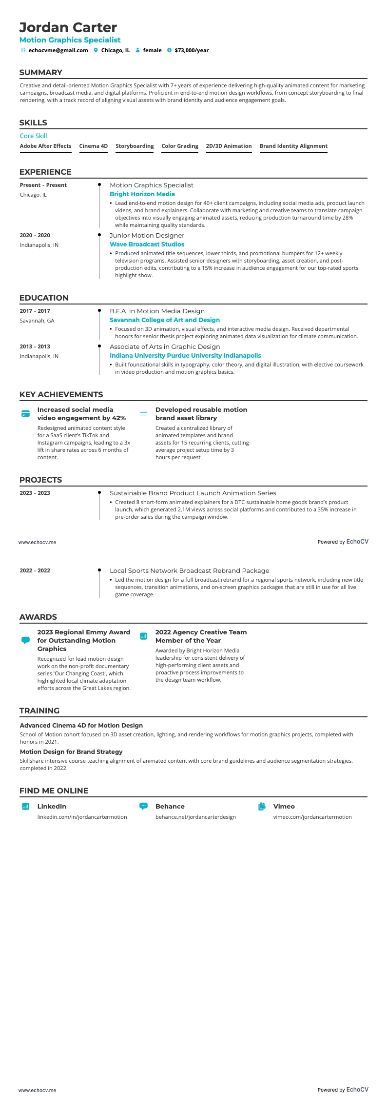 动态图形专家 example resume