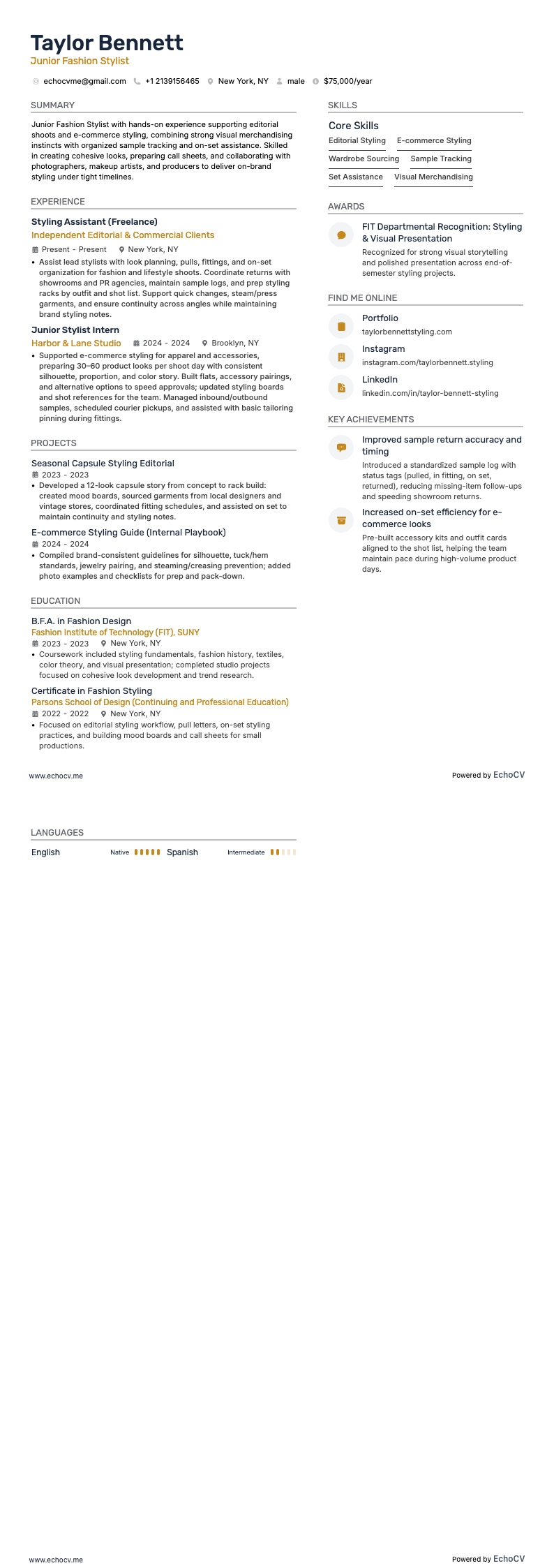 Fashion stylist júnior example resume