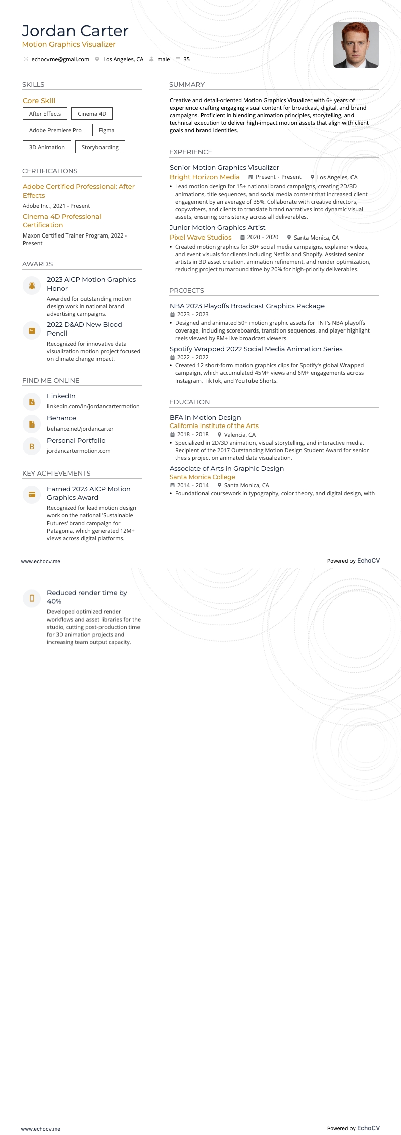 动态图形可视化师 example resume