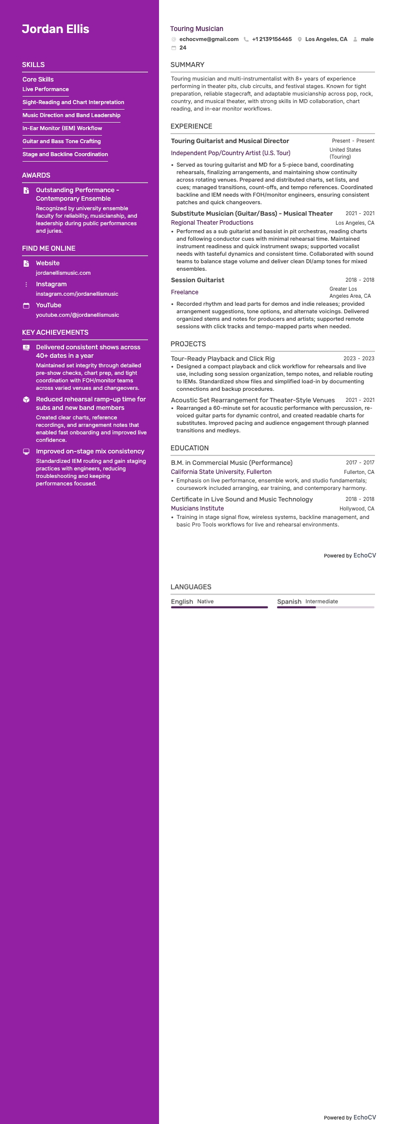 Touring Musician example resume