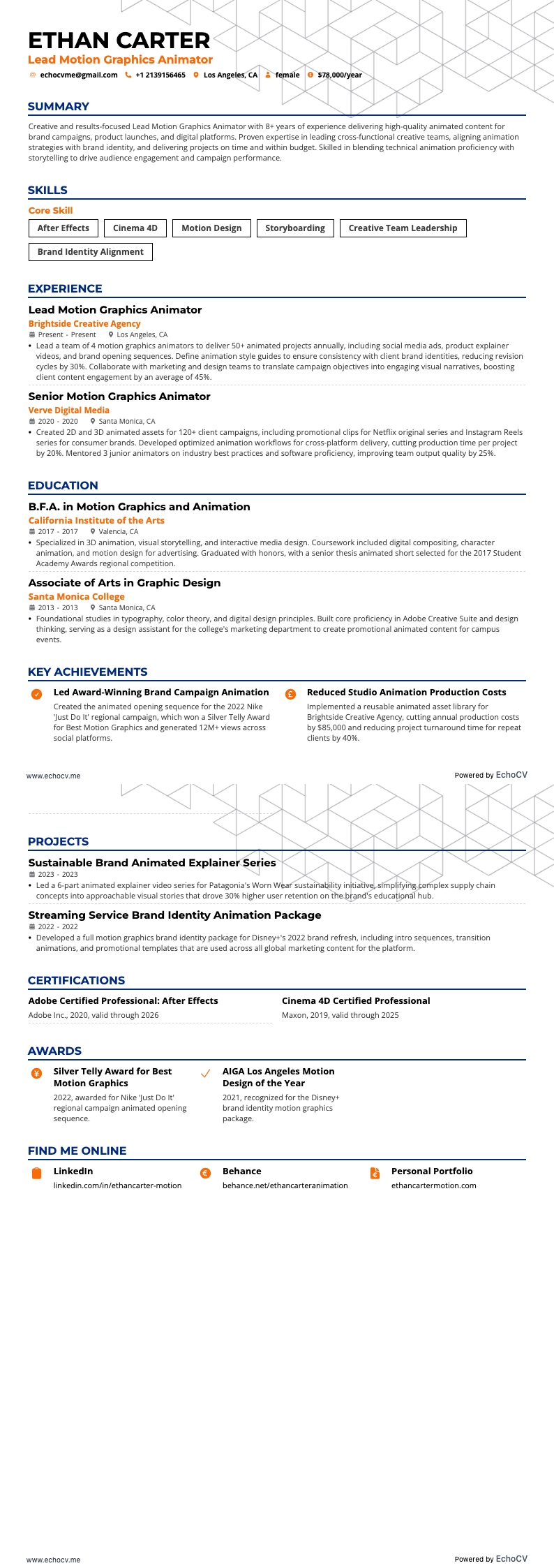 首席动态平面动画师 example resume