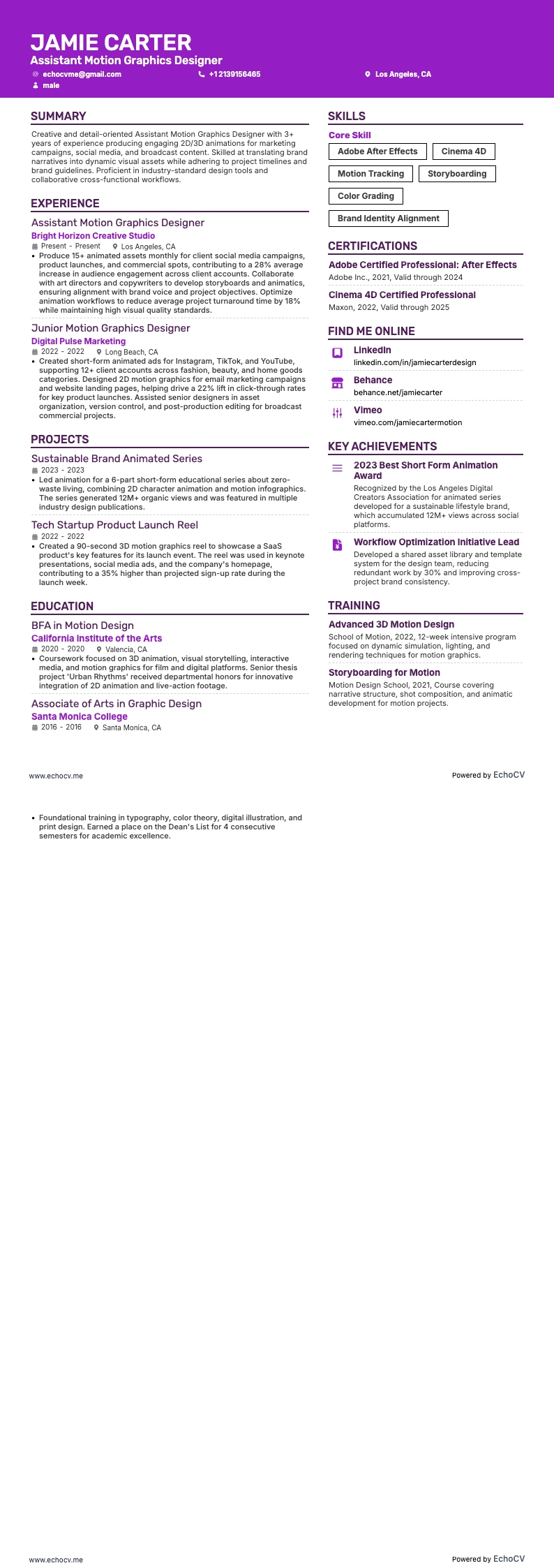 助理动态视觉设计师 完整预览