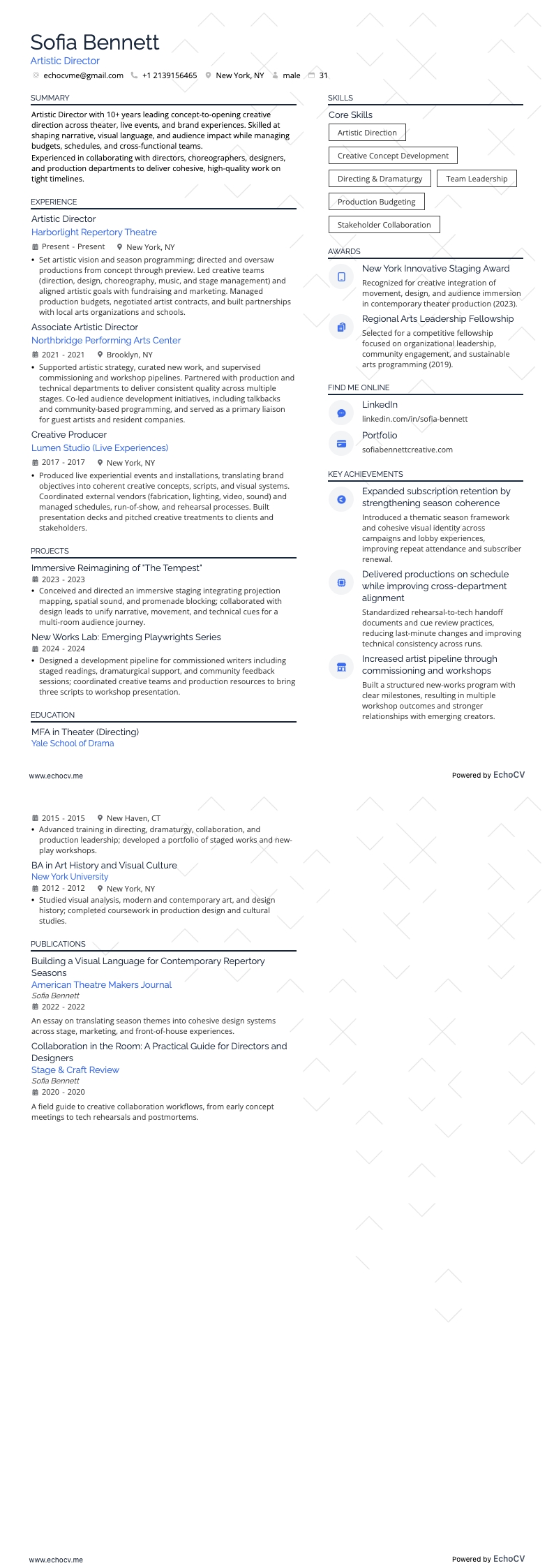 예술 감독 resume example