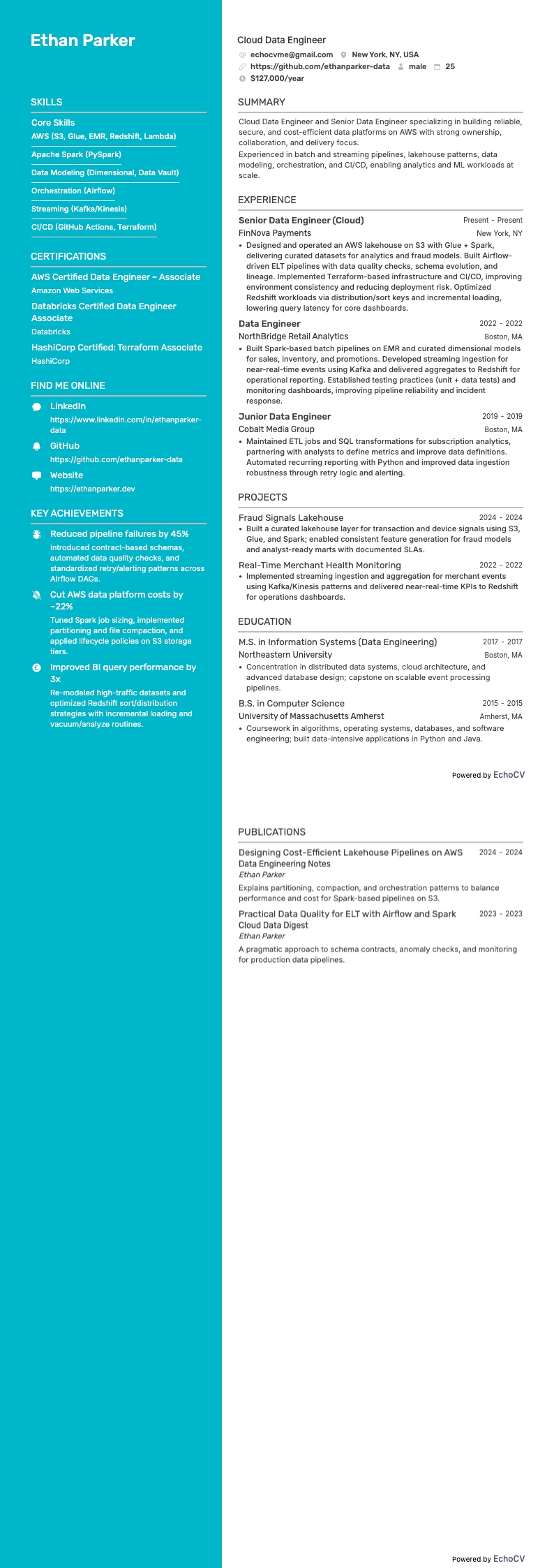 シニアデータエンジニア resume example