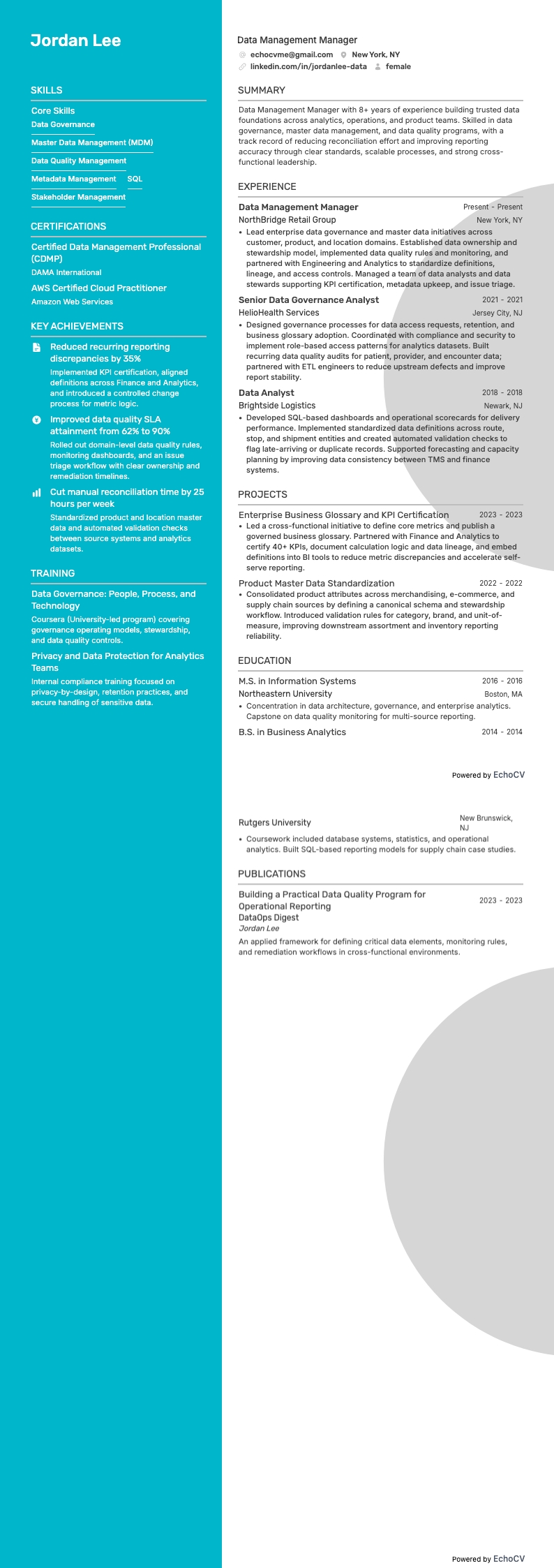 Data Management Manager full preview