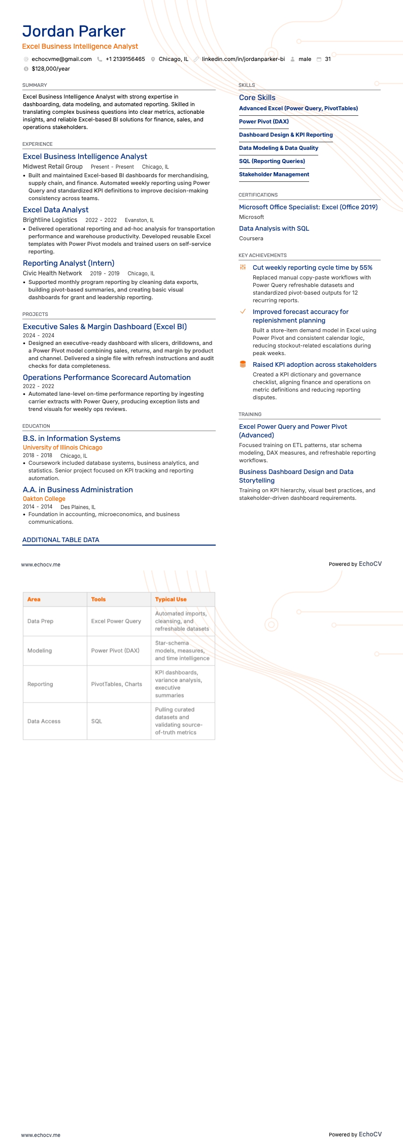 Excel Business Intelligence Analyst example resume