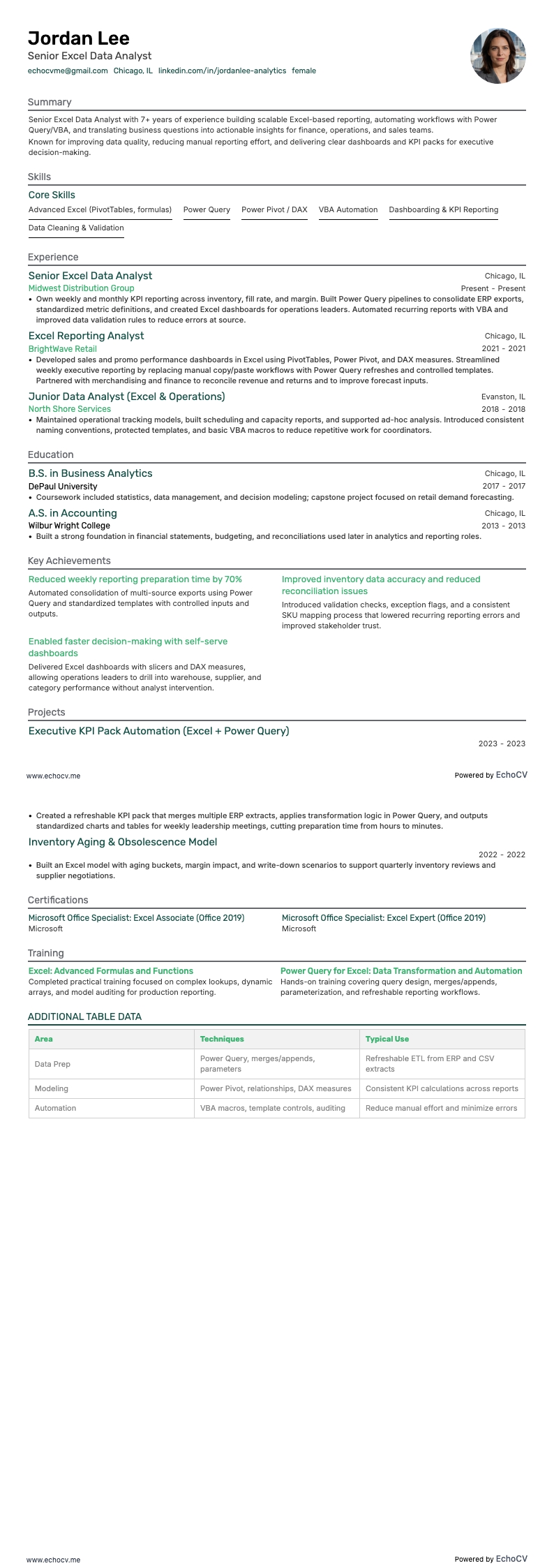 Senior Excel Data Analyst full preview