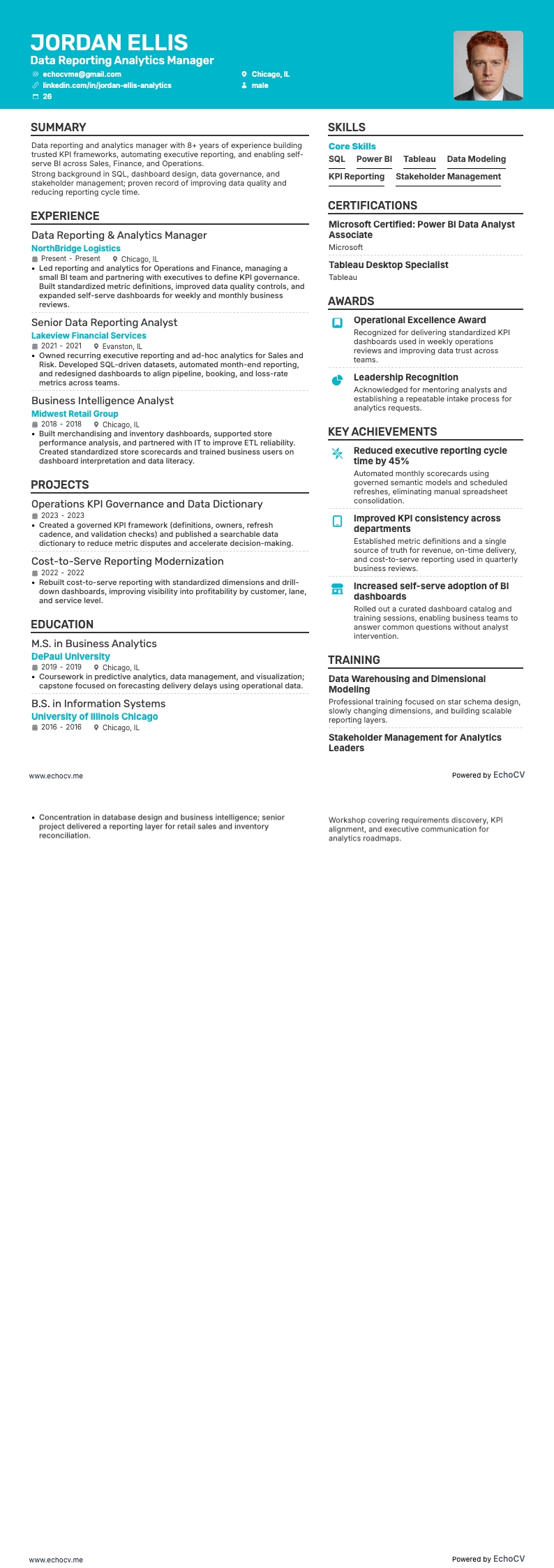 Data Reporting Analytics Manager full preview