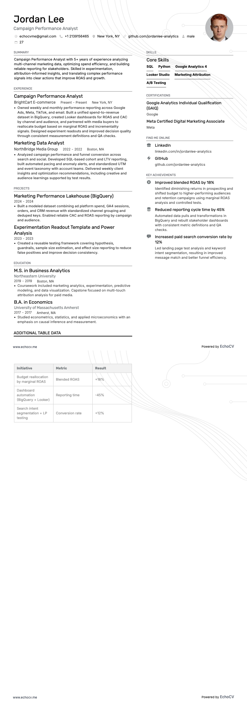 Chuyên viên phân tích hiệu suất chiến dịch example resume