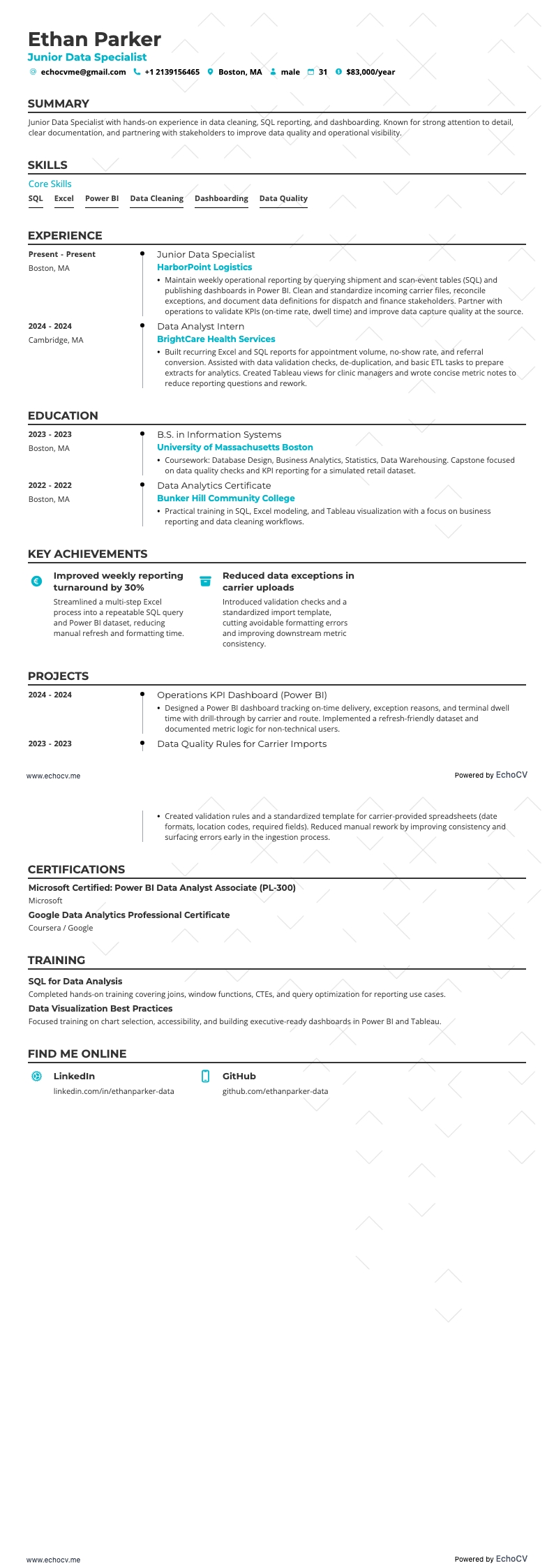 Junior Data Specialist example resume